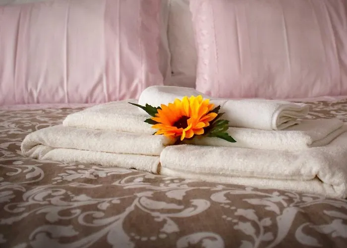 Hotel barato: Flor&Fidalgo Guest House